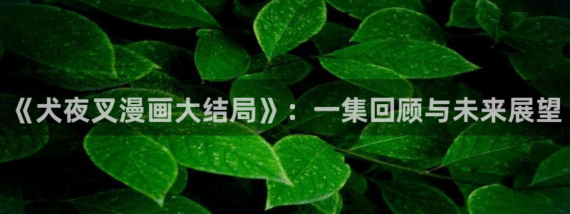 歪歪漫画本子：《犬夜叉漫画大结局》：一集回顾与未来展望