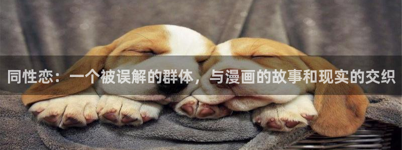 歪歪漫画官网上：同性恋：一个被误解的群体，与漫画的故事和现实的交织