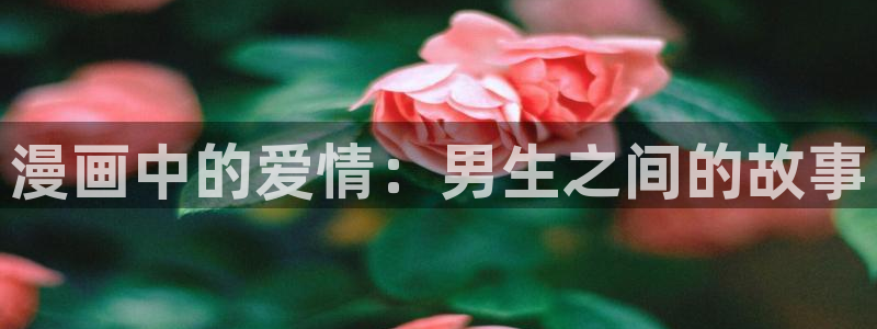 羞歪歪漫画：漫画中的爱情：男生之间的故事