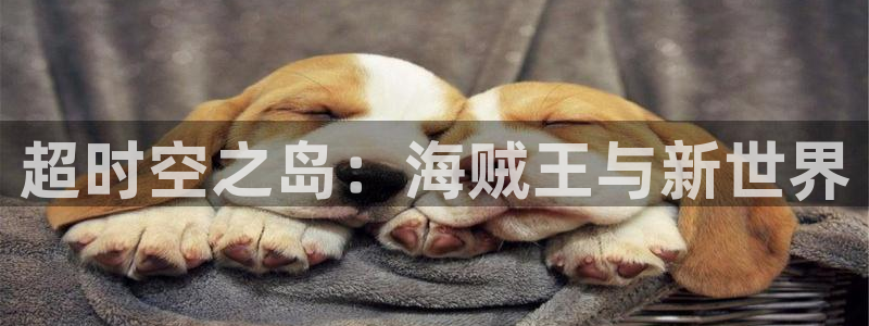 歪歪漫画羞羞漫画：超时空之岛：海贼王与新世界